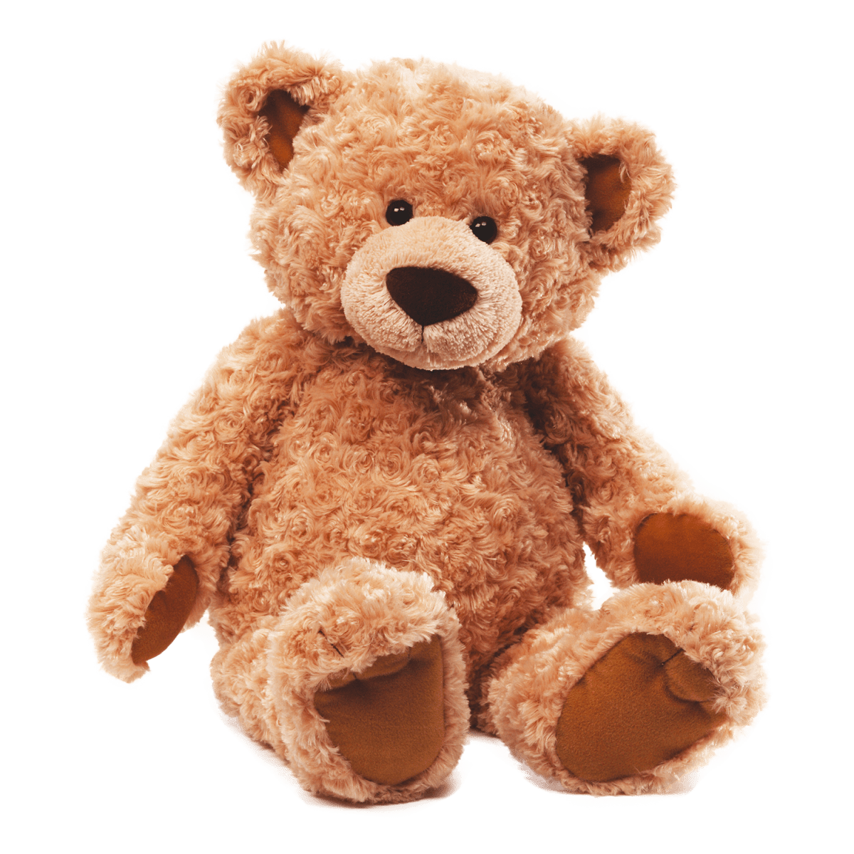 Teddy Bear product image